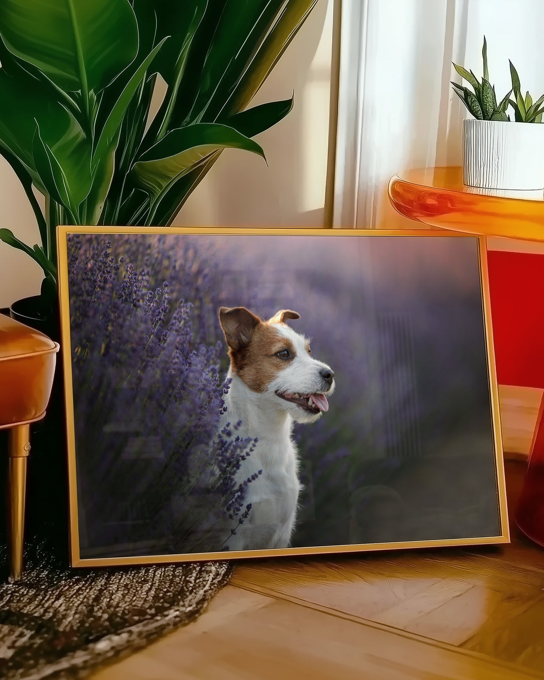 canvas