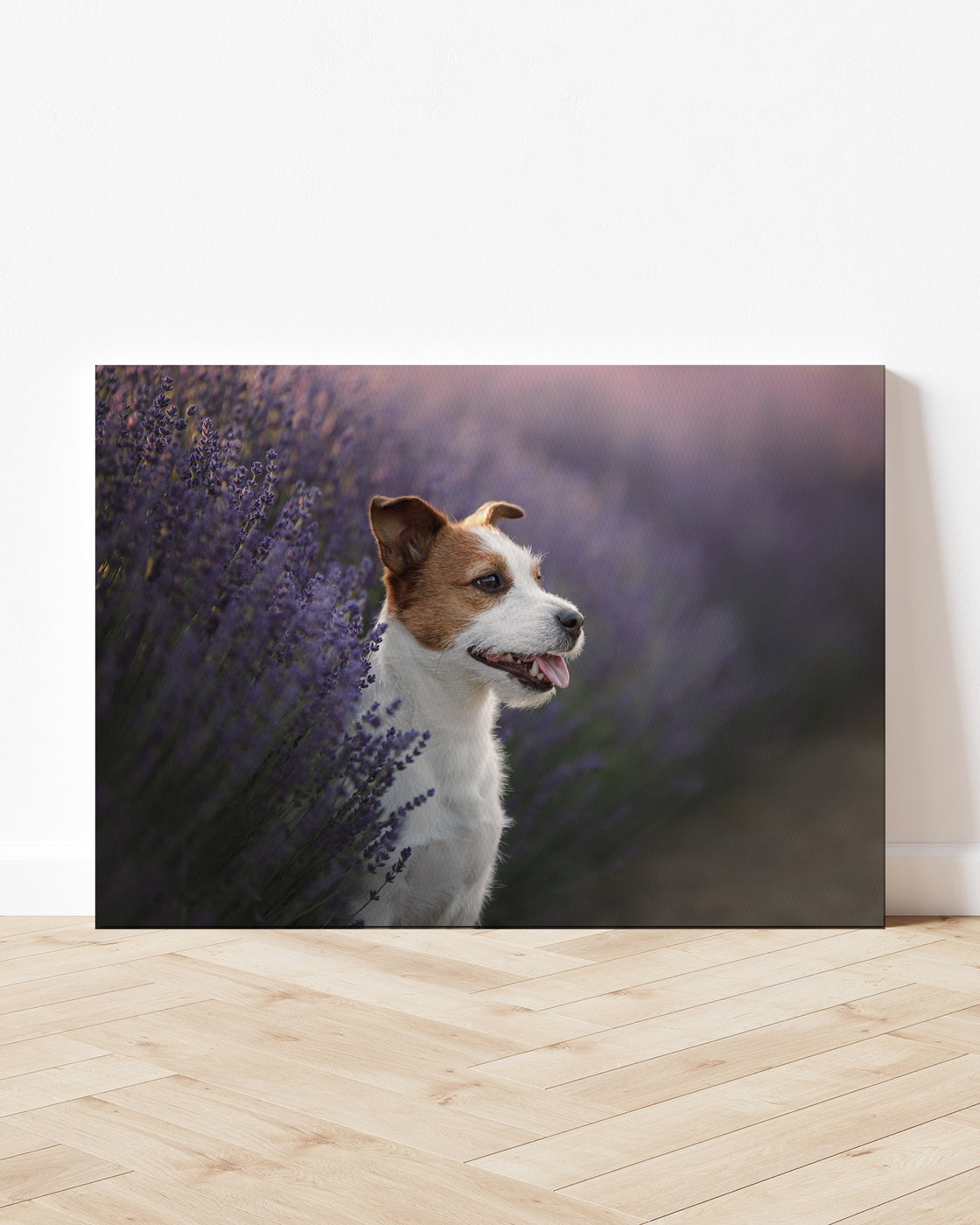 stretched-canvas