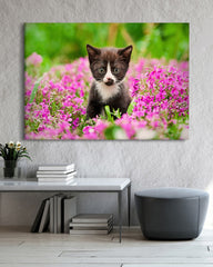 After Hover: Katzen-Baby in Blumenwiese
