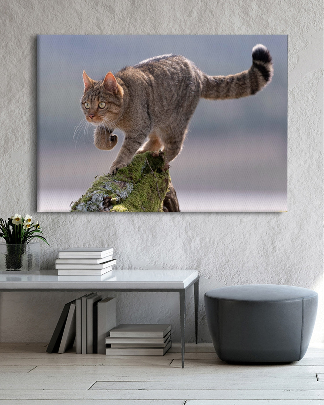 stretched-canvas