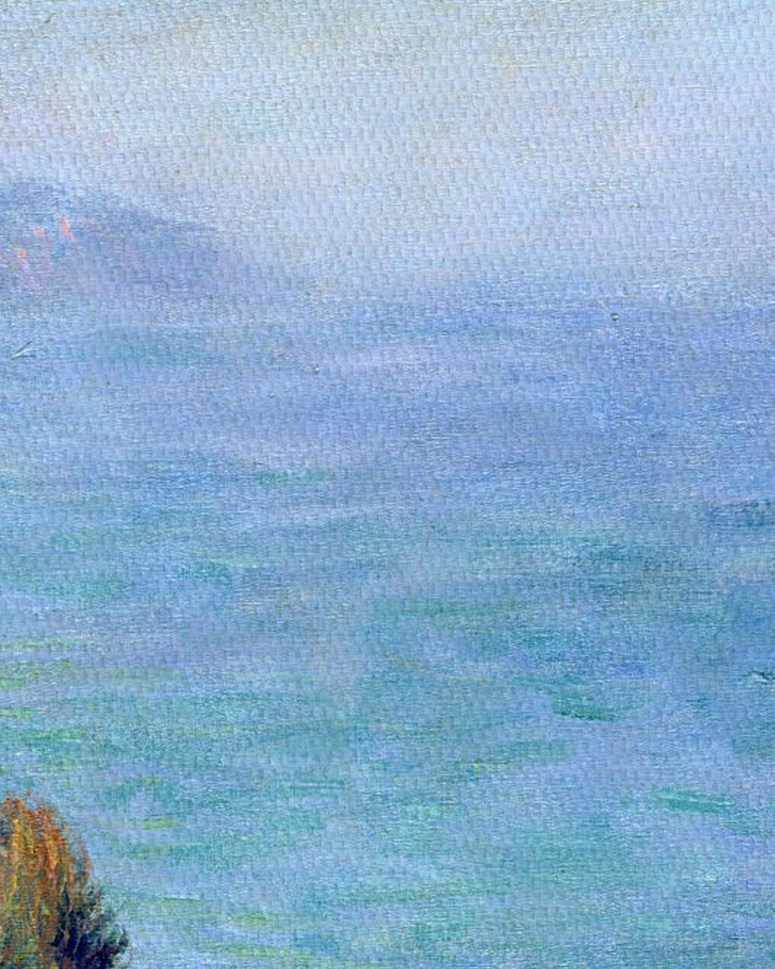 canvas