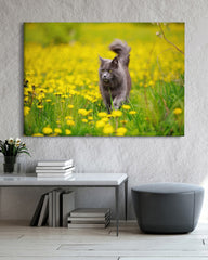 After Hover: Katze auf gelber Blumenwiese - Tier & Natur Fotografie