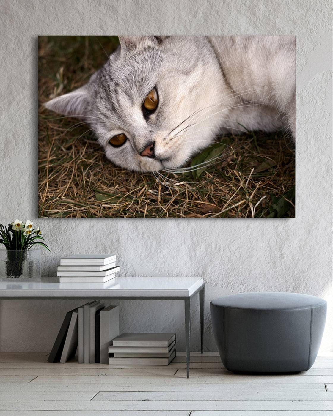 stretched-canvas