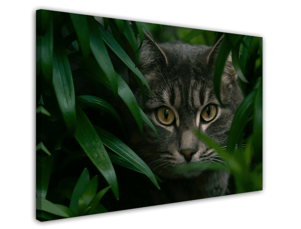 Katze zwischen Blättern