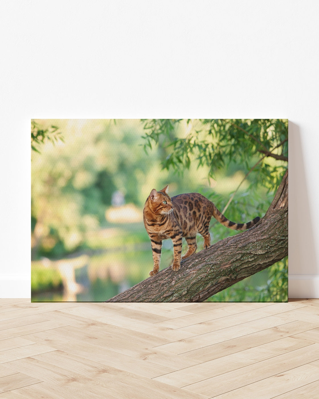 stretched-canvas