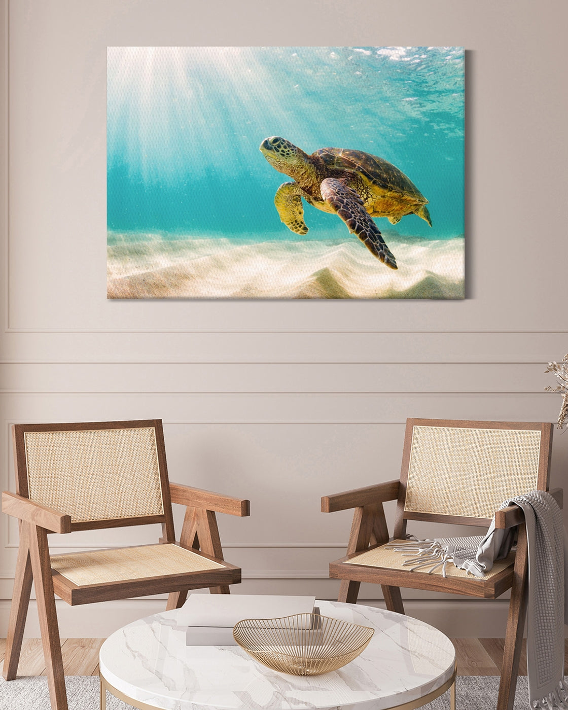 stretched-canvas