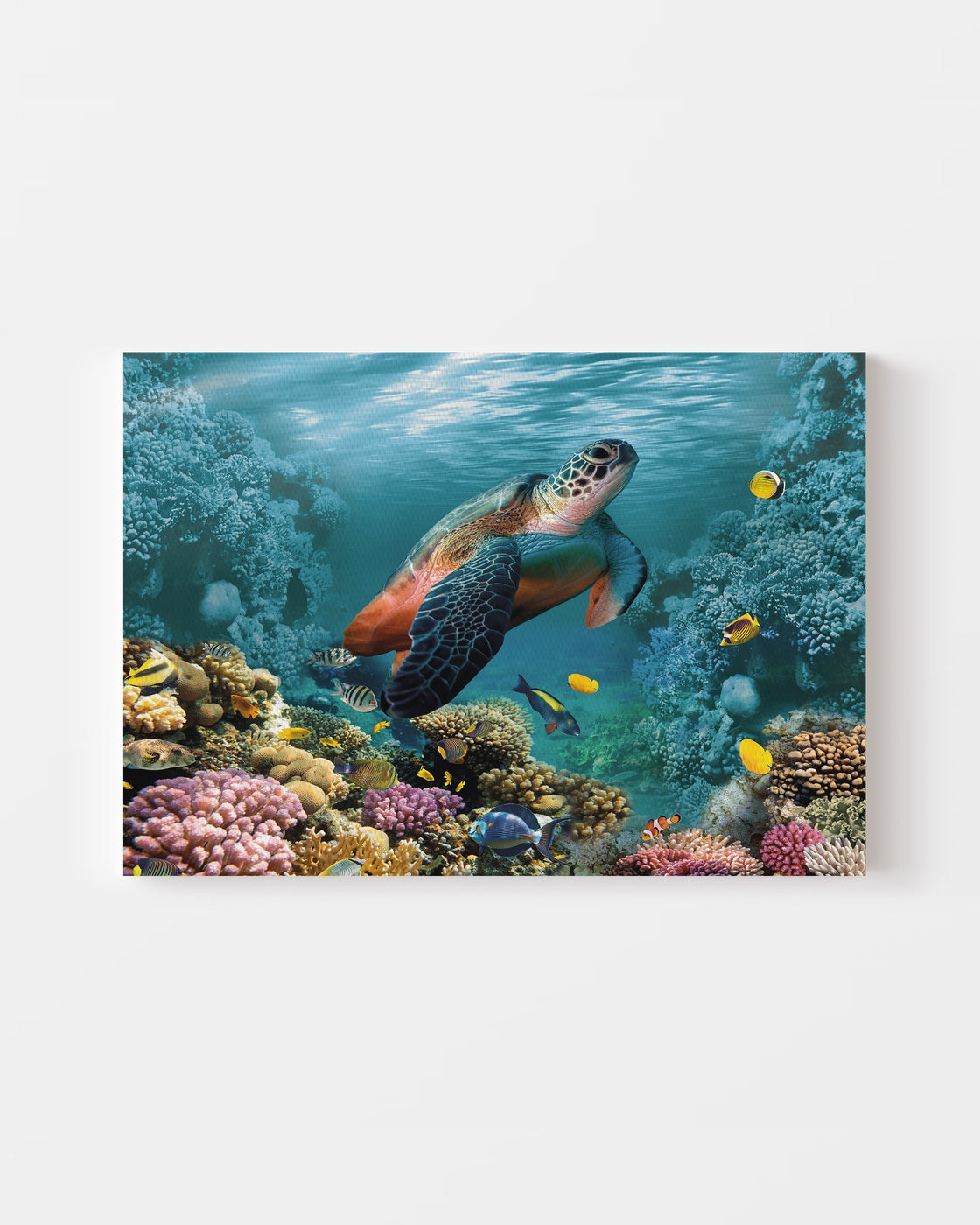 stretched-canvas