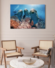 After Hover: Neugierige Delfine