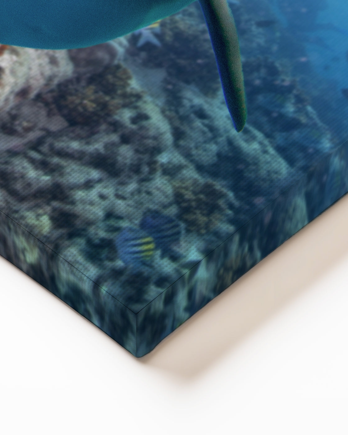 stretched-canvas