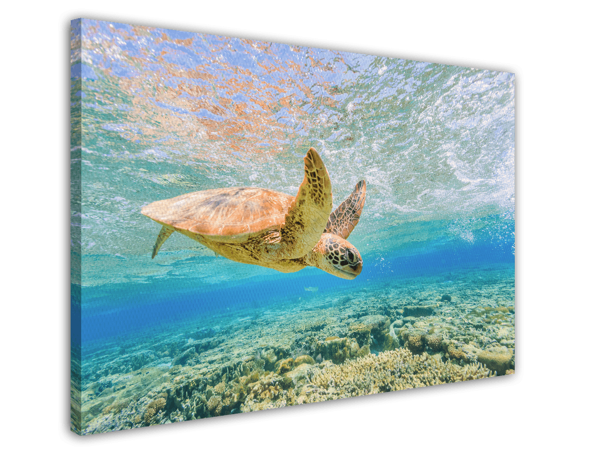 stretched-canvas