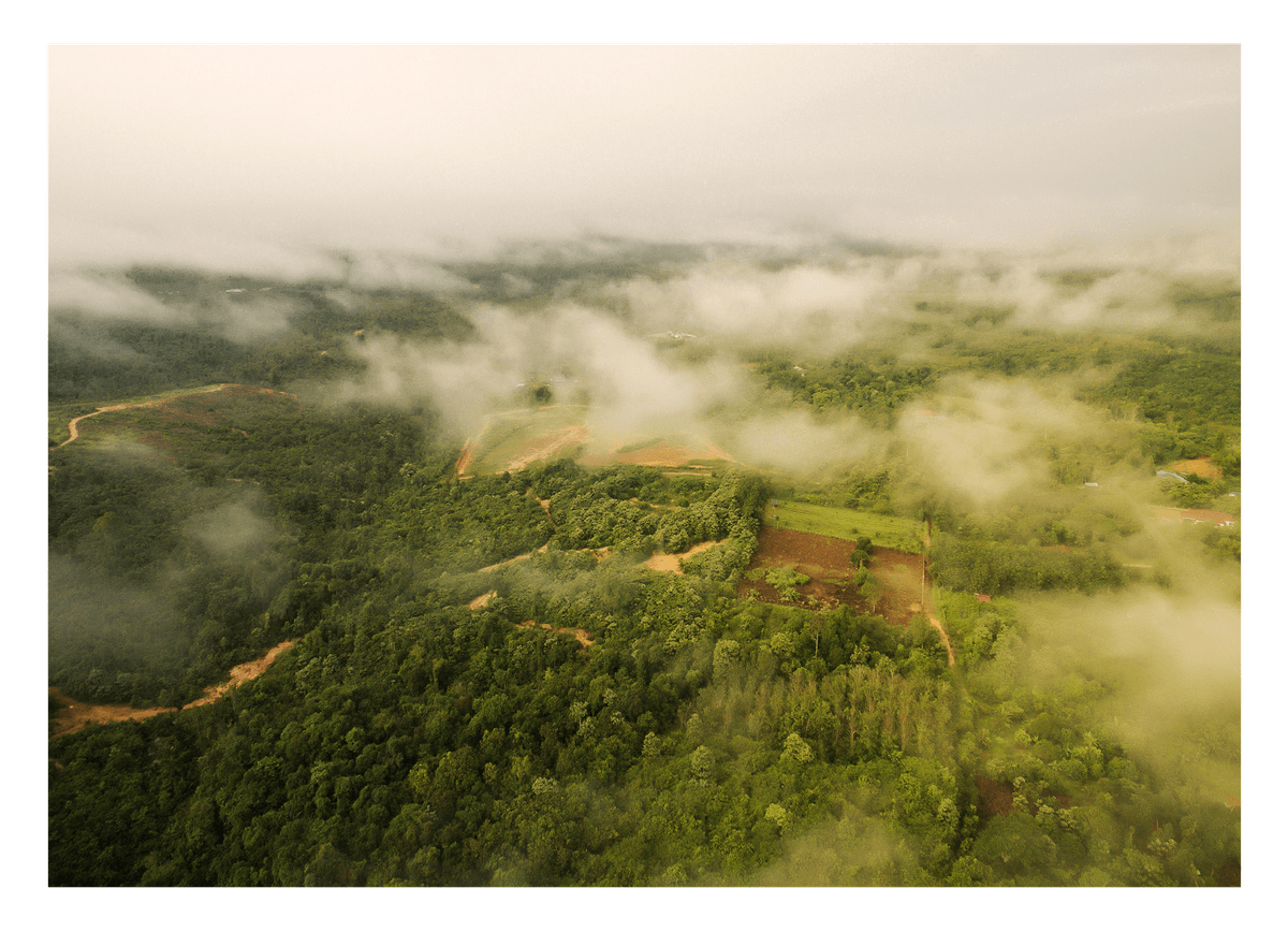 Nebel über Landschaft