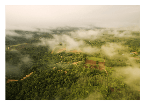 Nebel über Landschaft