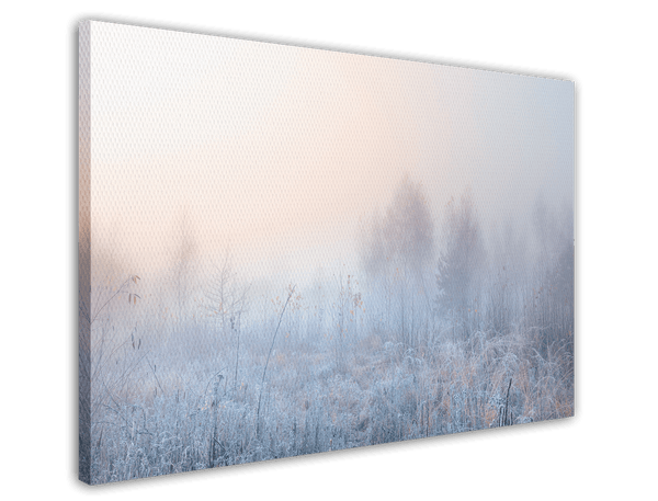 Natur im Frost