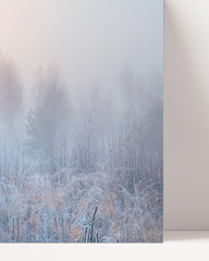 After Hover: Natur im Frost