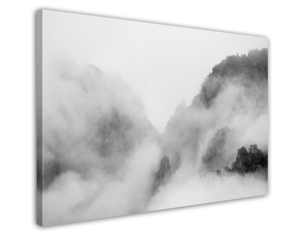 Bäume im Nebel