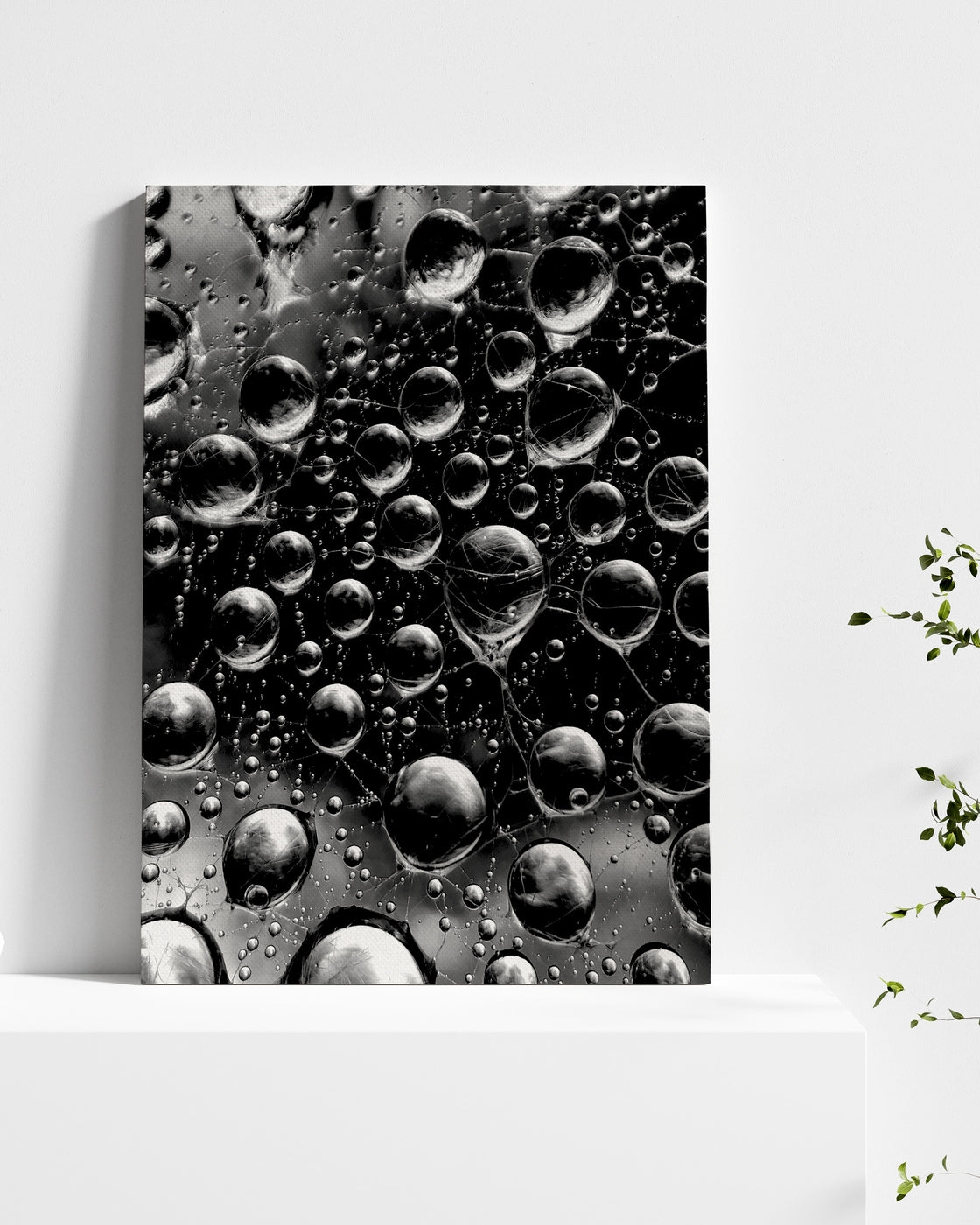 stretched-canvas