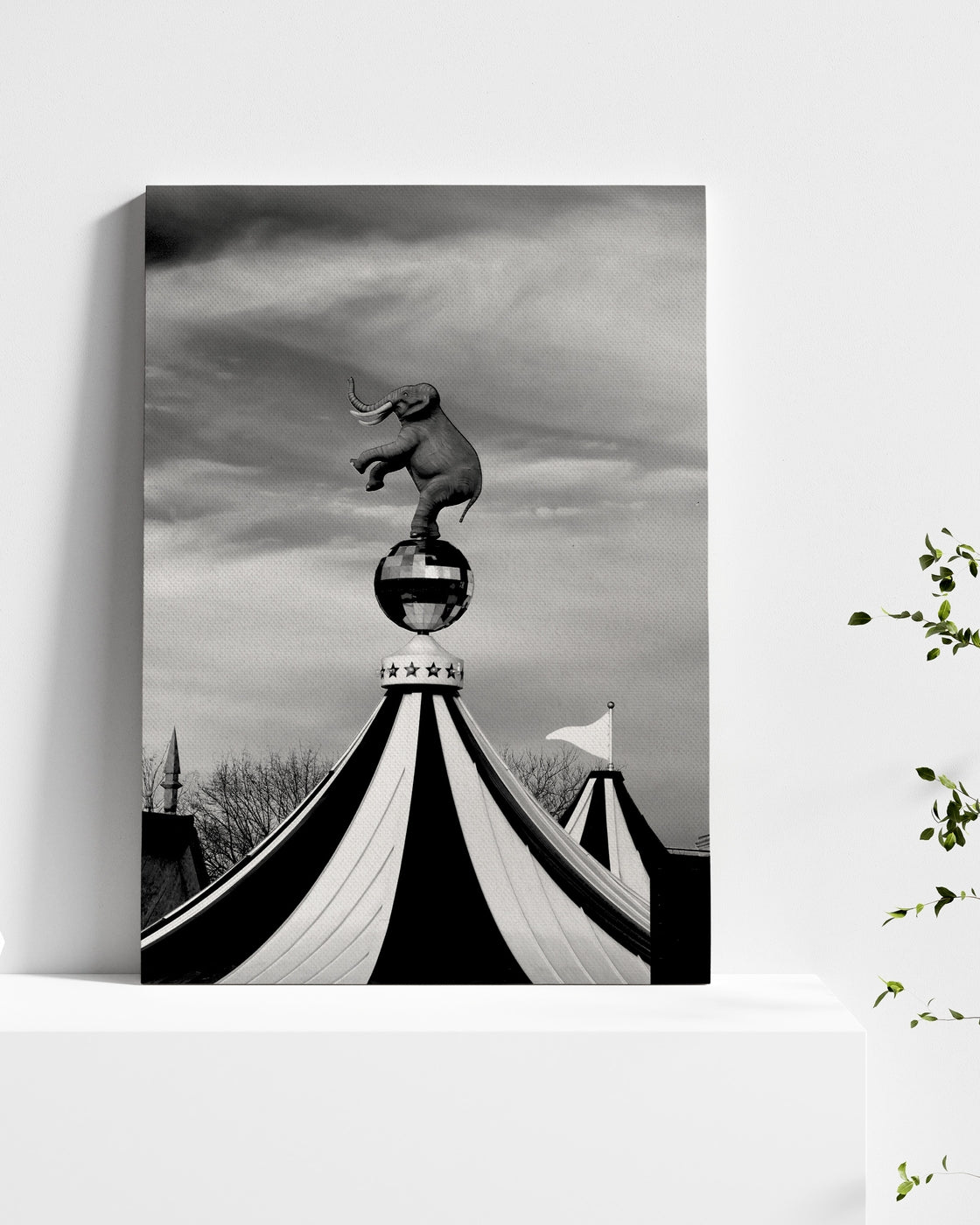 stretched-canvas