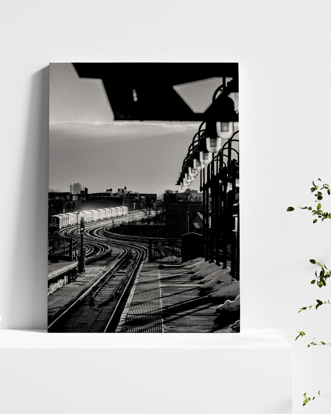 stretched-canvas