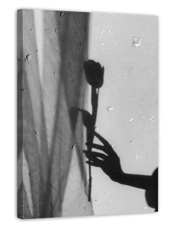 Rose im Schatten - Schwarz-Weiß