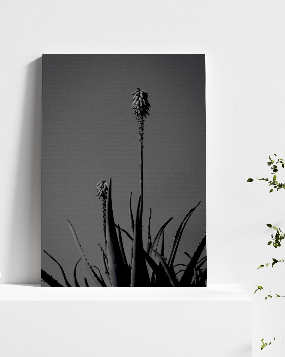 stretched-canvas