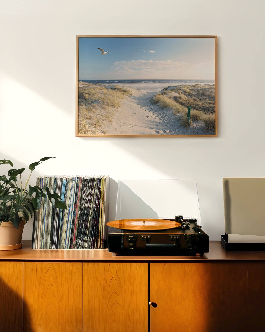 canvas