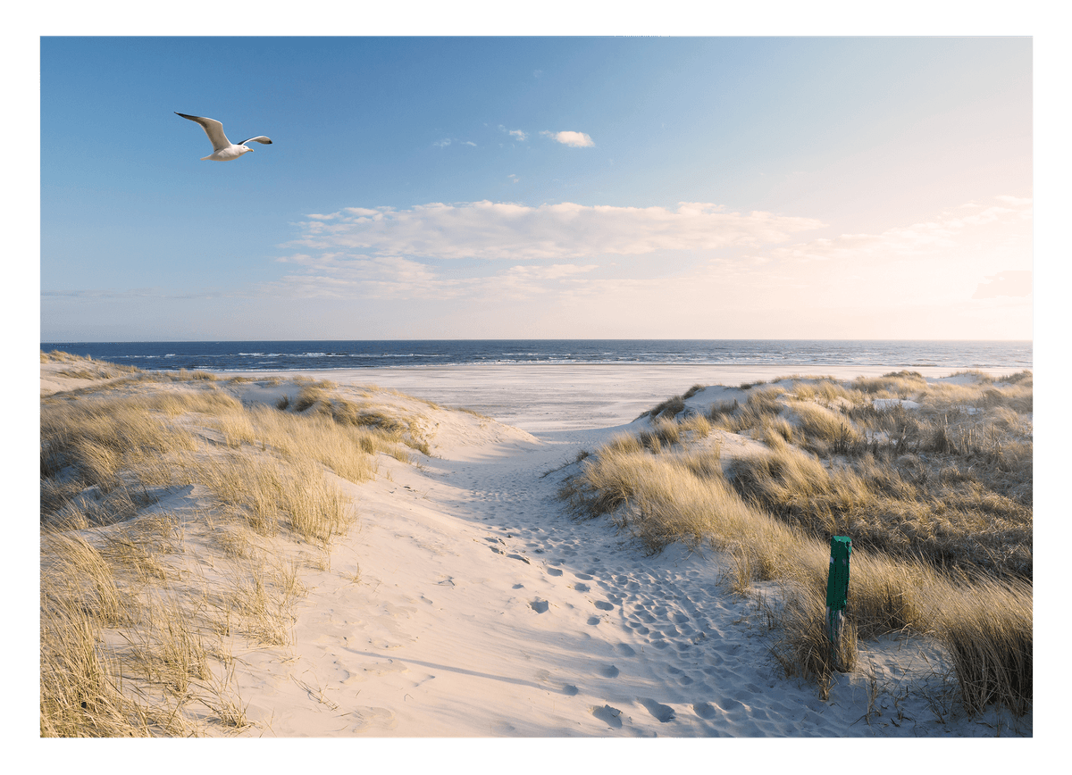 Nordsee-Strand
