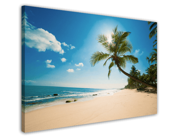 Strand mit Palmen
