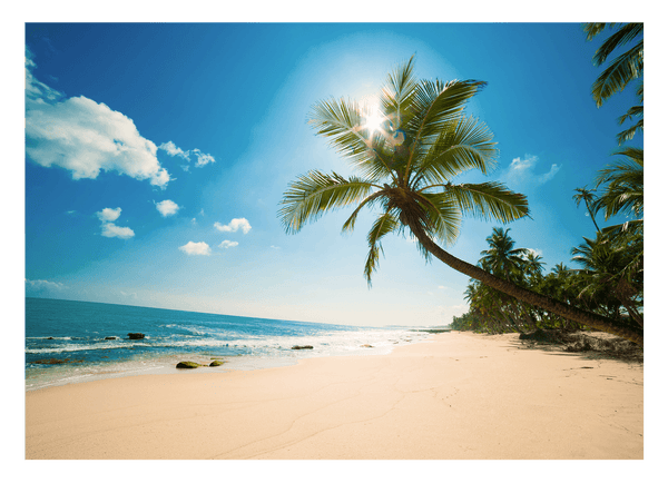 Strand mit Palmen