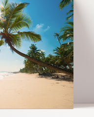 After Hover: Strand mit Palmen