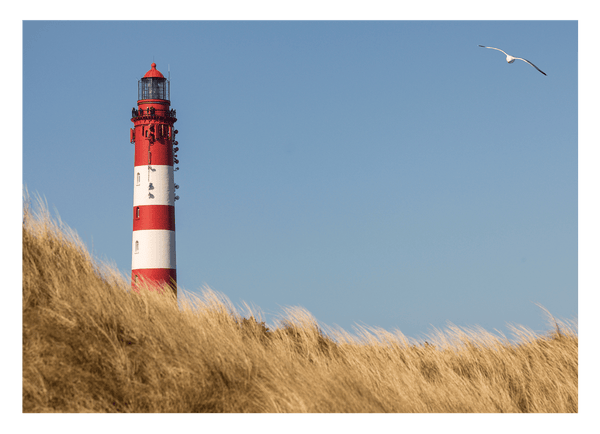 Leuchtturm an Dünen