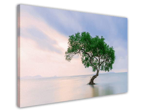 Baum im Wasser