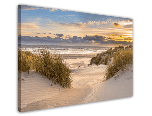Dünen-Strand