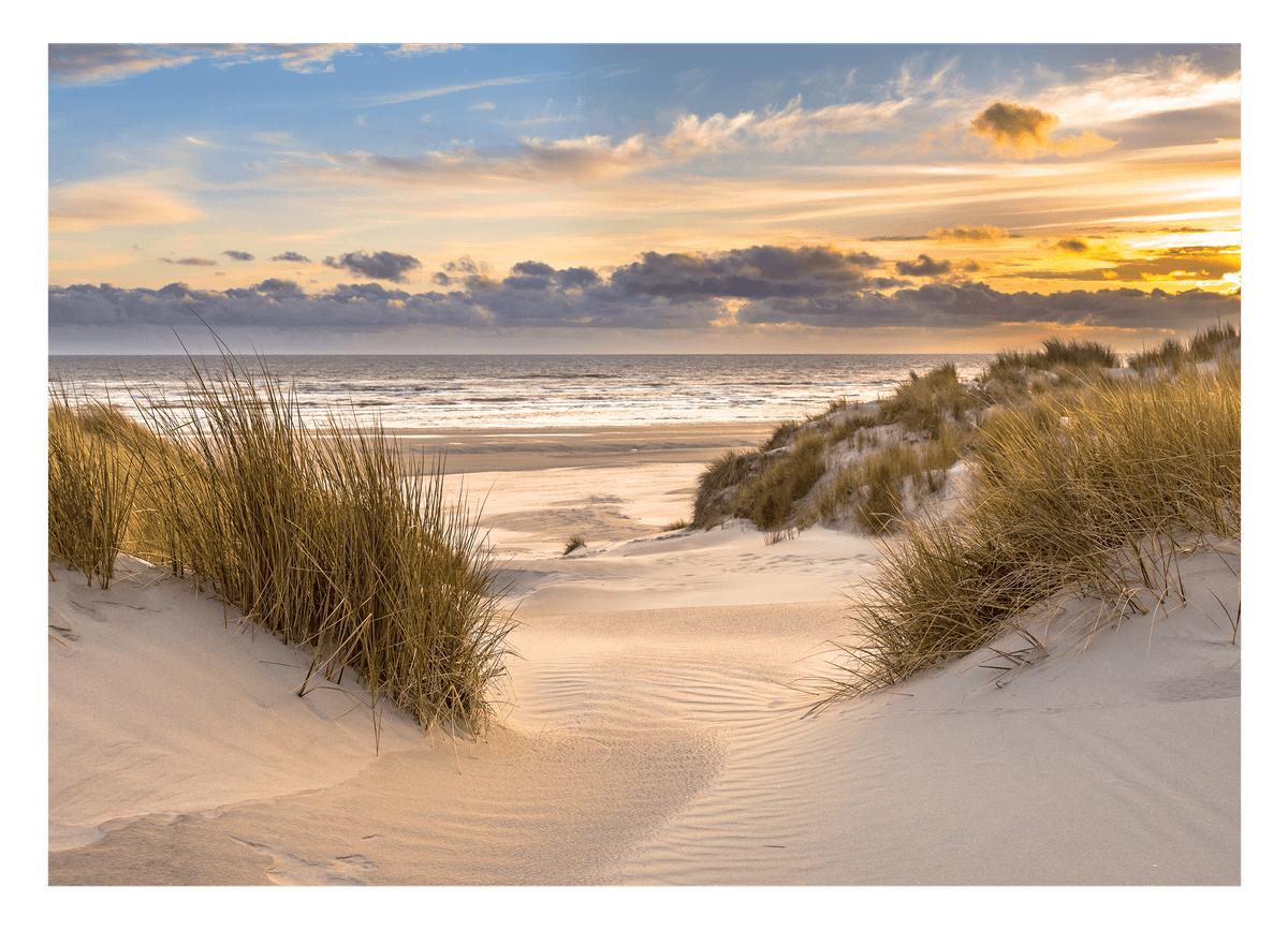 Dünen-Strand