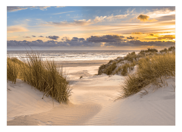 Dünen-Strand