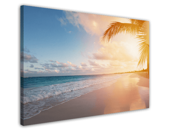 Palme am Strand