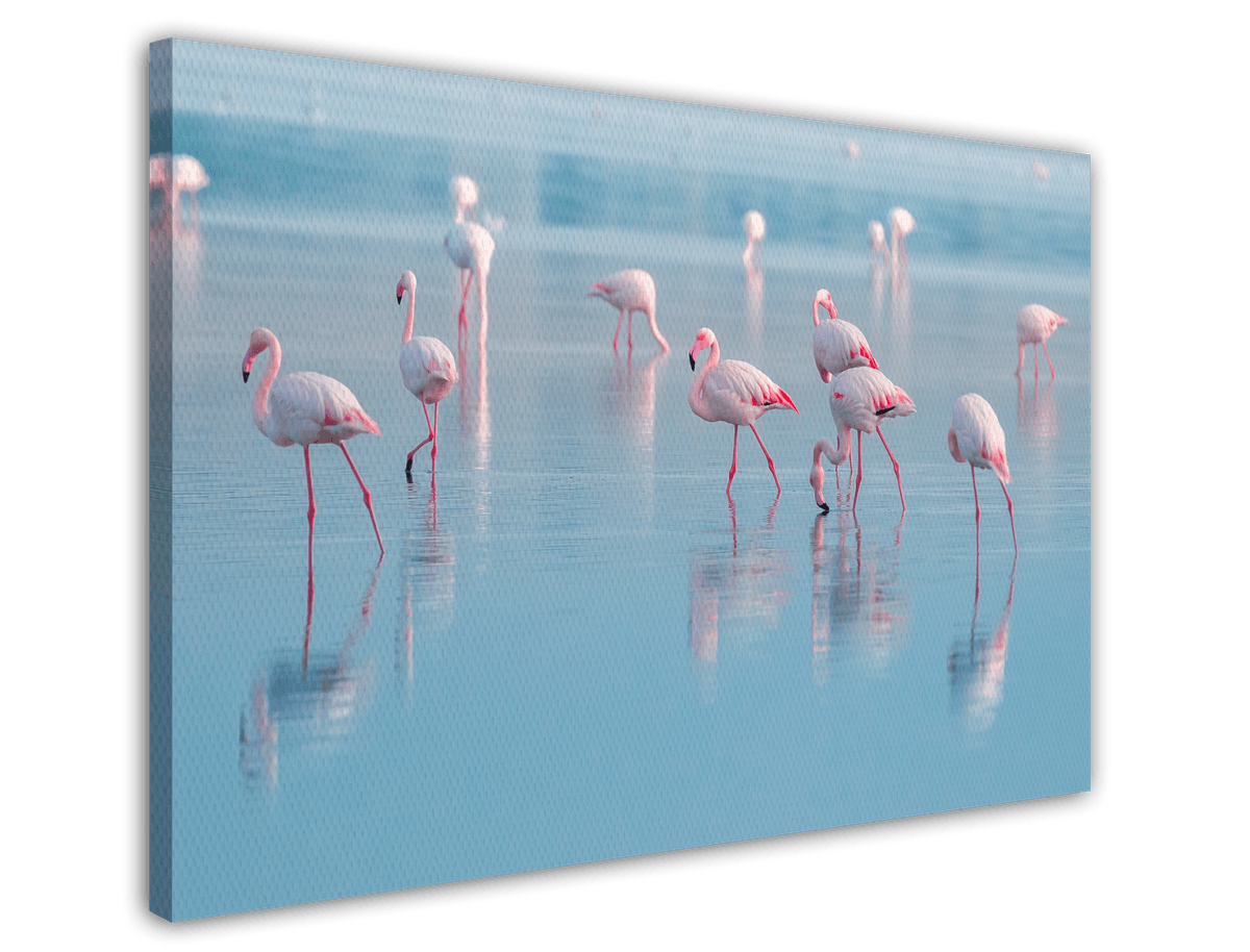 stretched-canvas