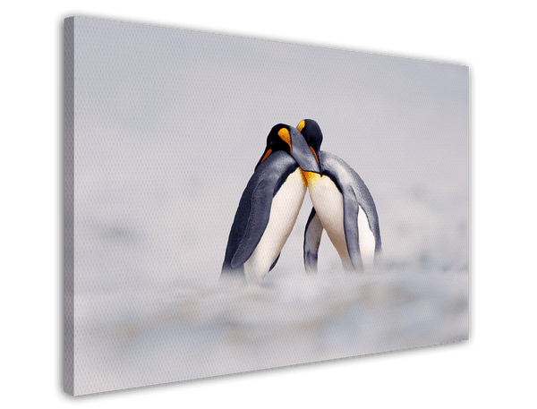 Kuschelnde Pinguine