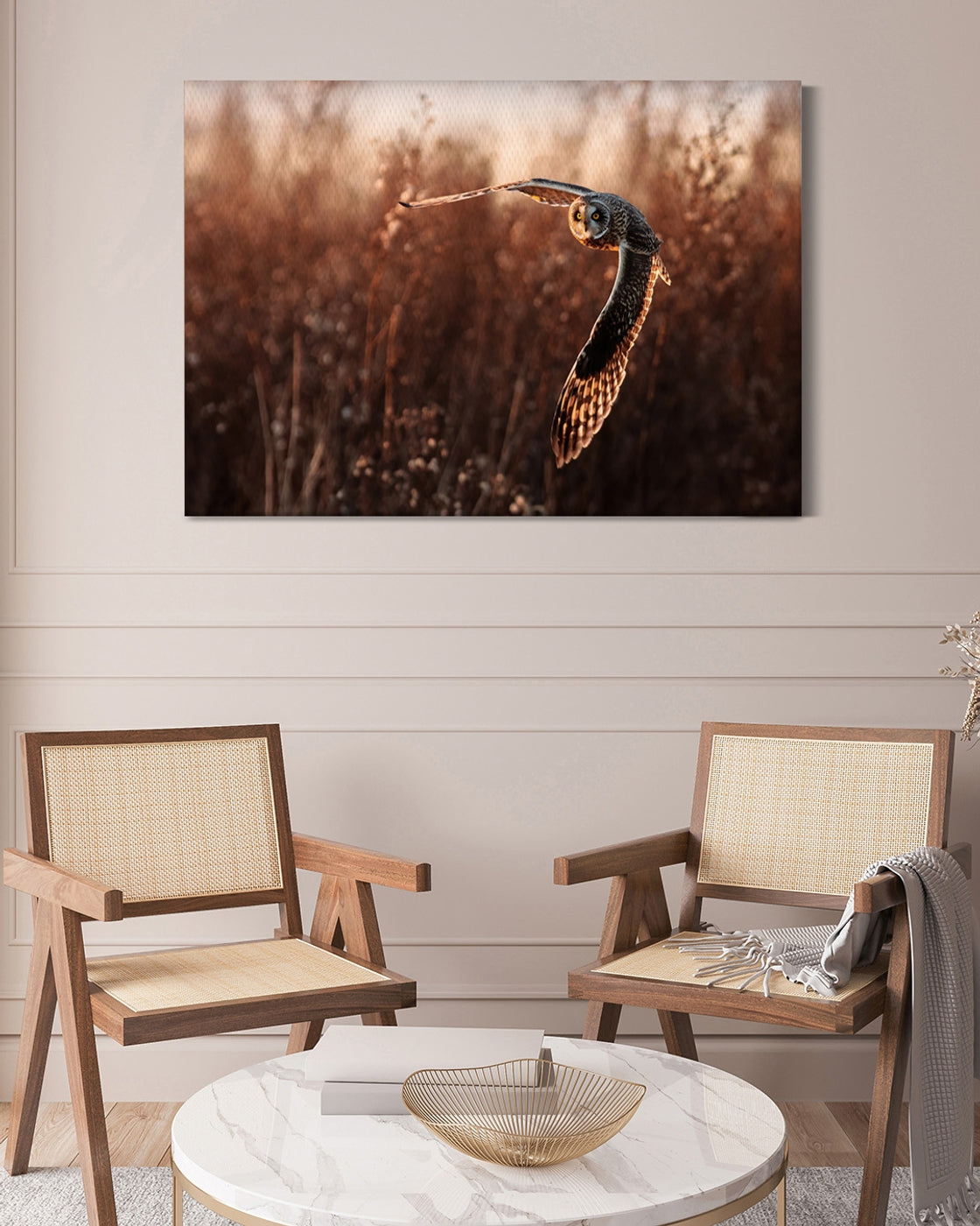 stretched-canvas