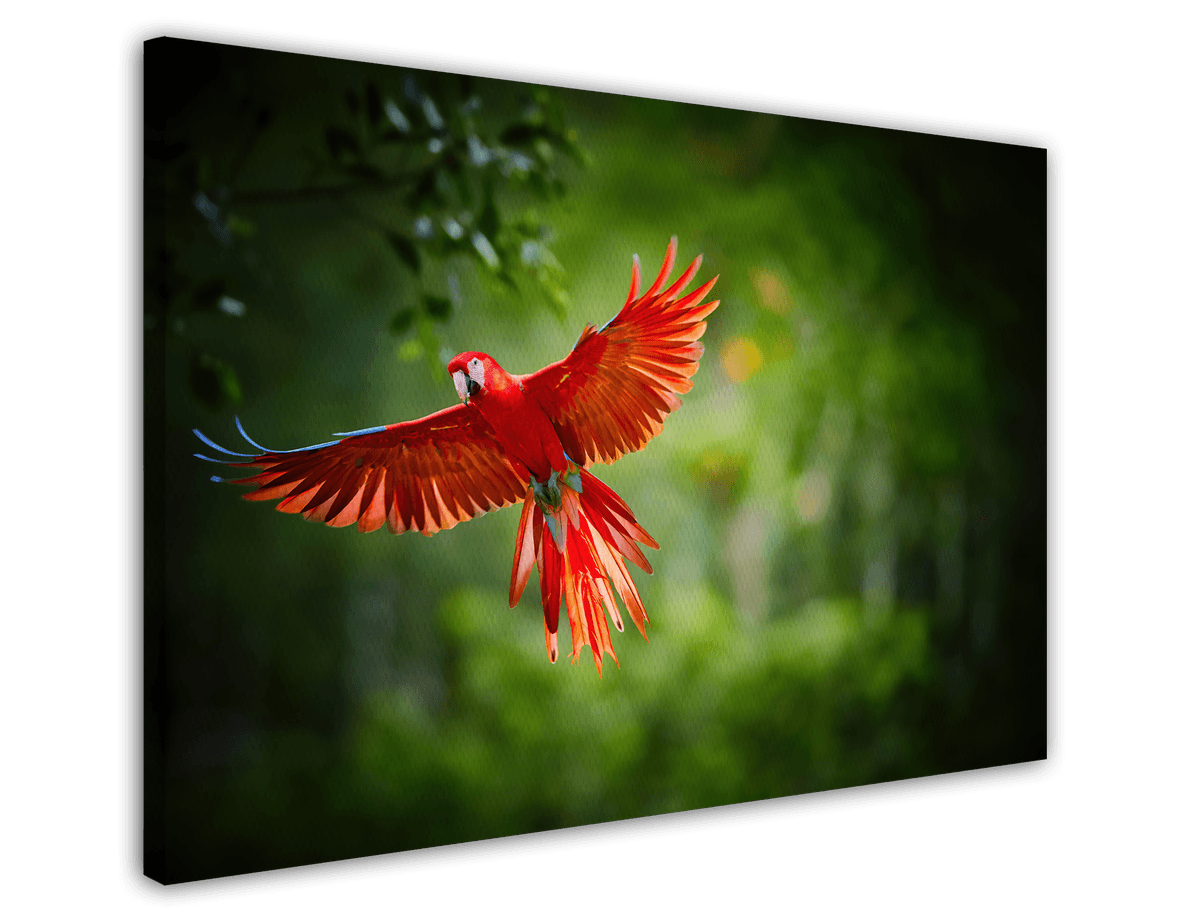 stretched-canvas