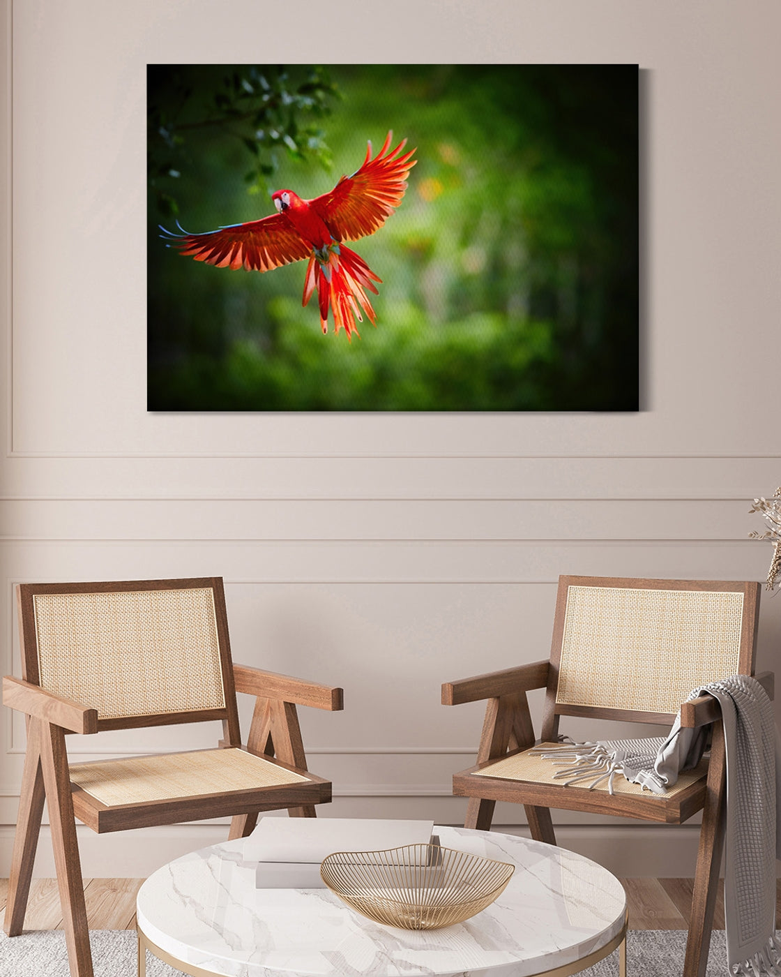stretched-canvas