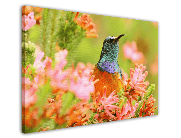 Tropischer Vogel in Blumen