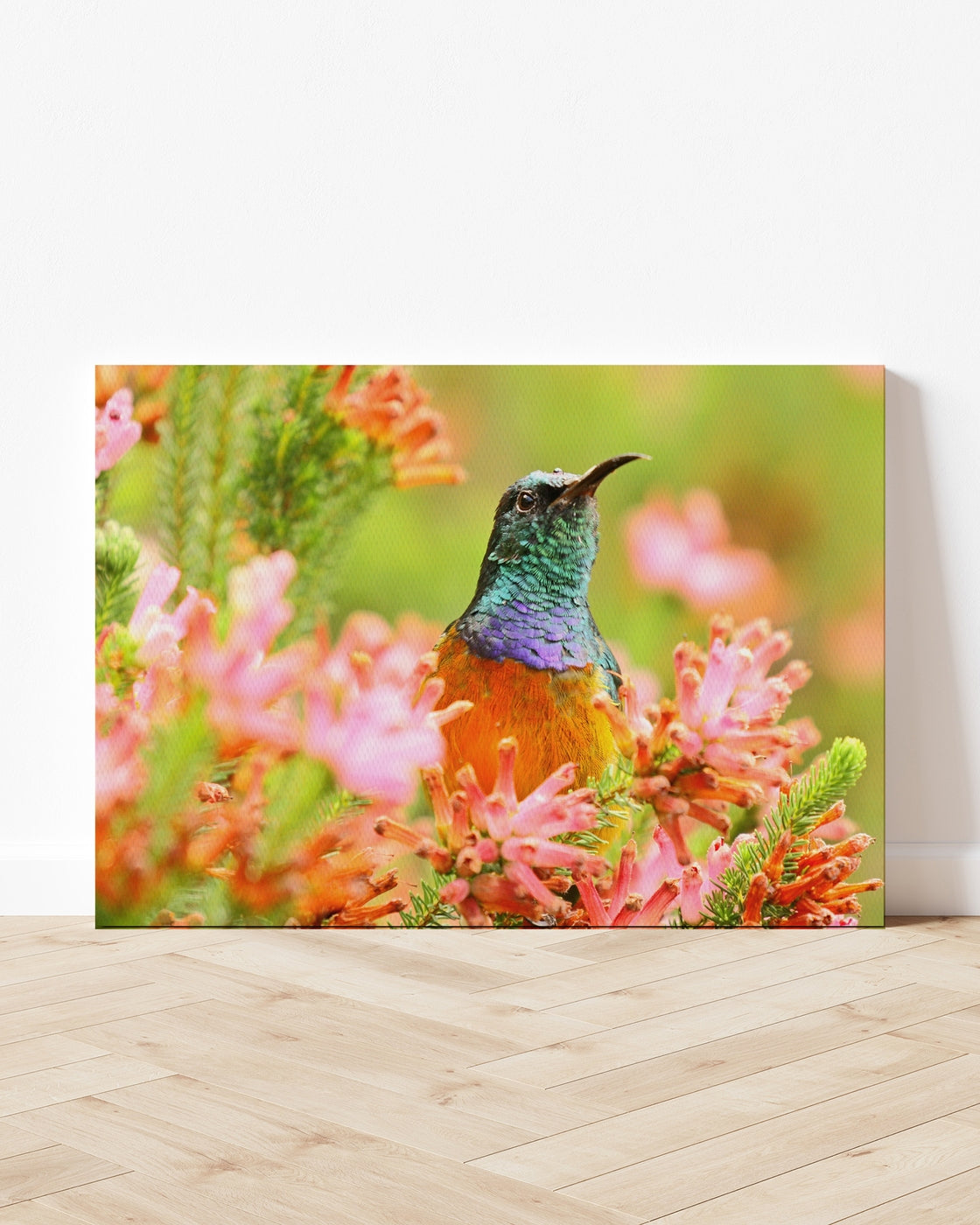 stretched-canvas