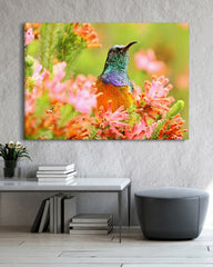 After Hover: Tropischer Vogel in Blumen