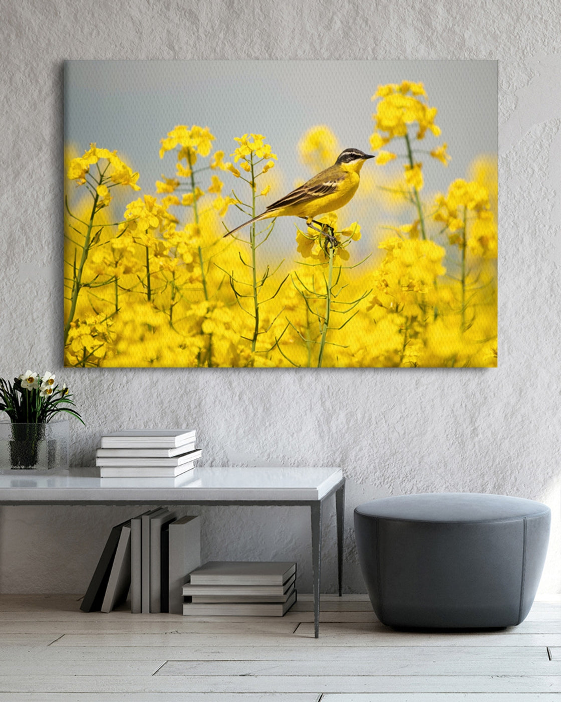 stretched-canvas