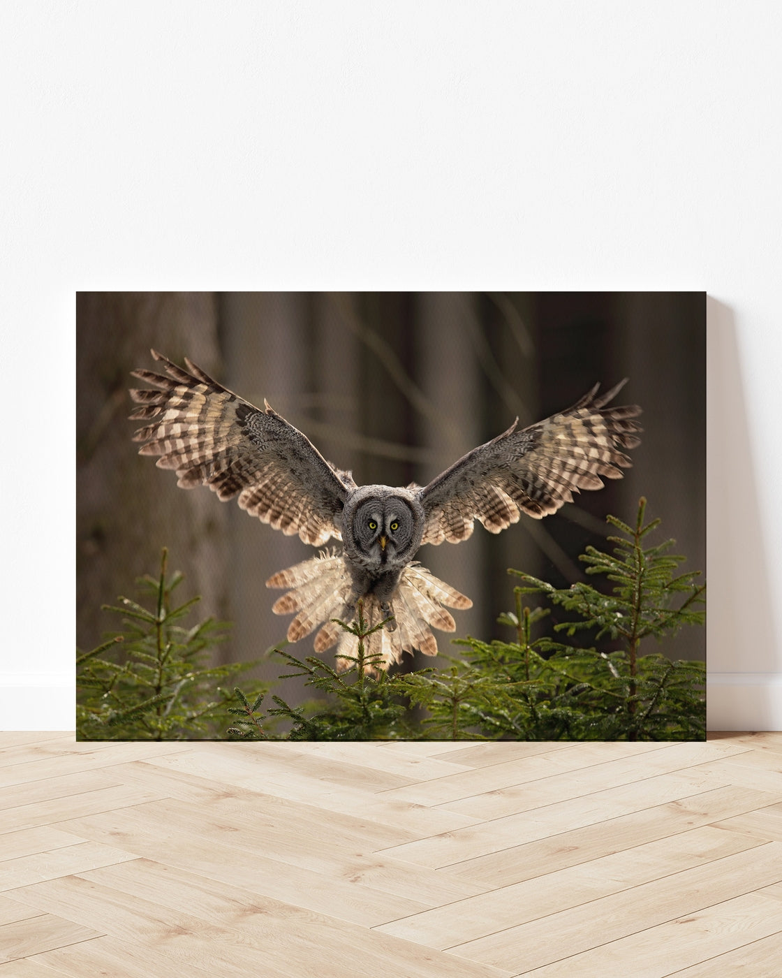 stretched-canvas
