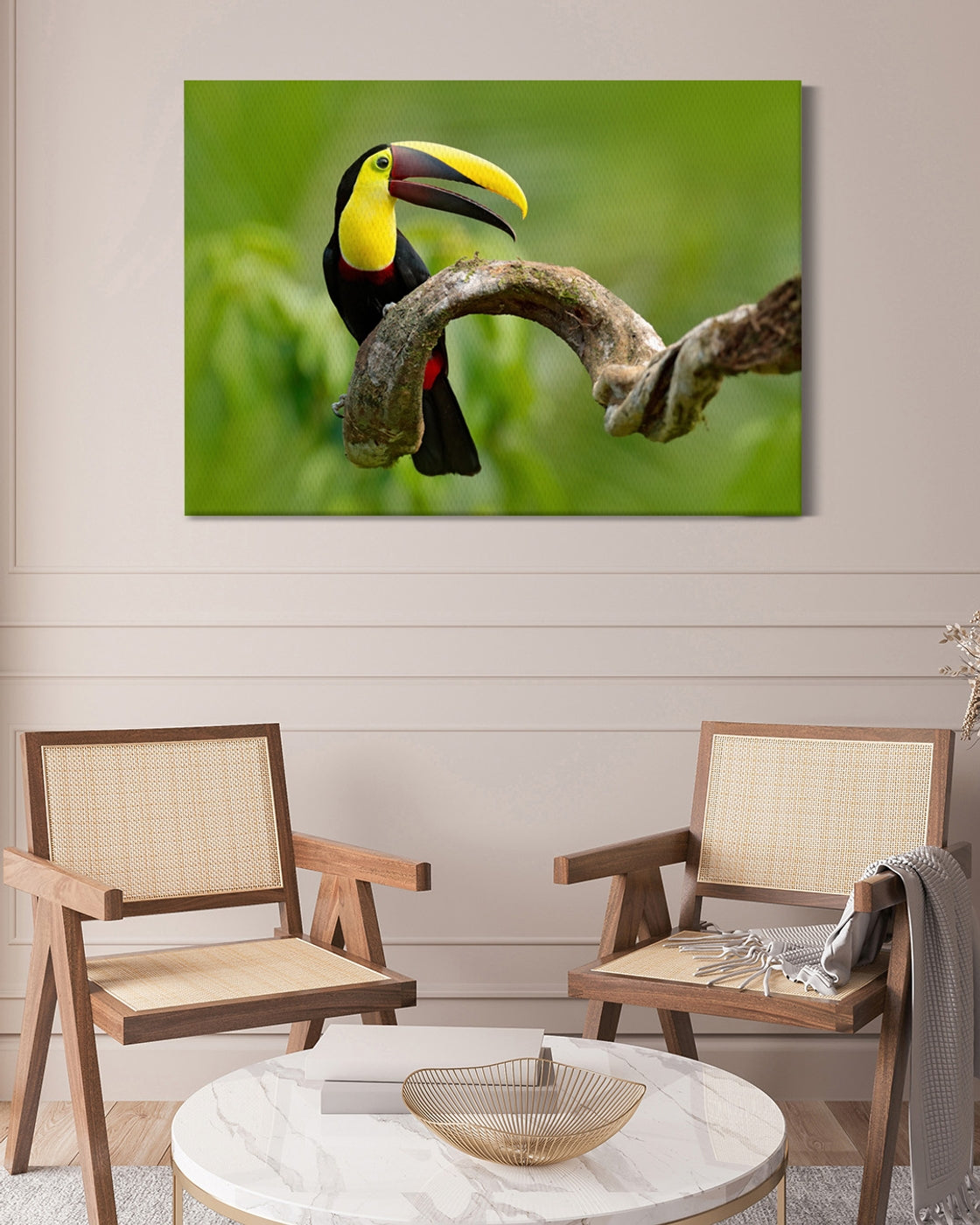 stretched-canvas