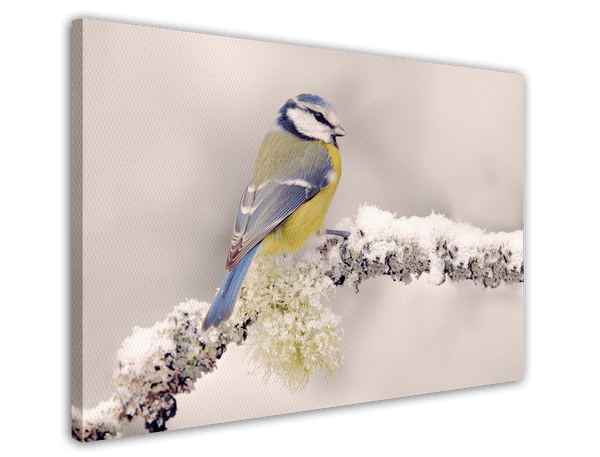Vogel in Winterlandschaft