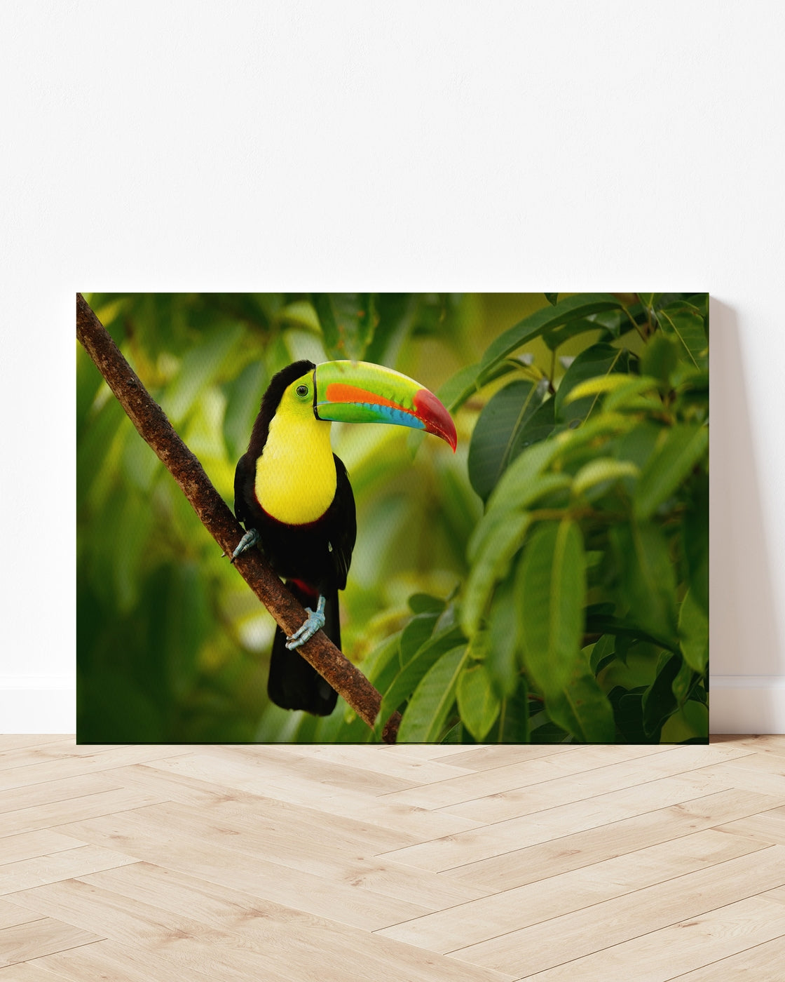 stretched-canvas