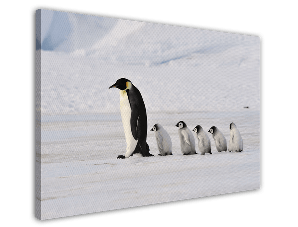 Pinguin-Mama mit Küken
