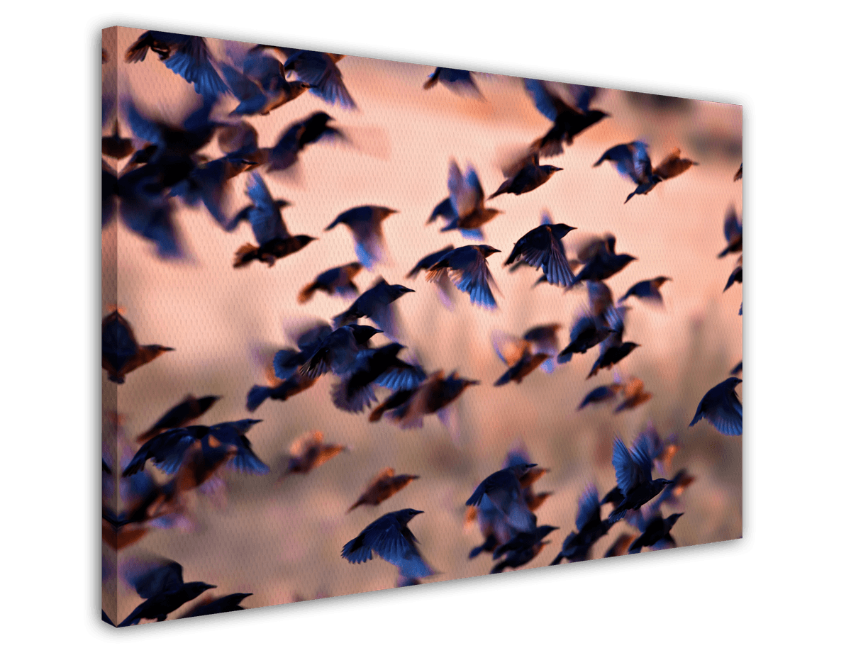 stretched-canvas